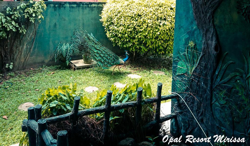 Opal Mirissa Villa Ngoại thất bức ảnh